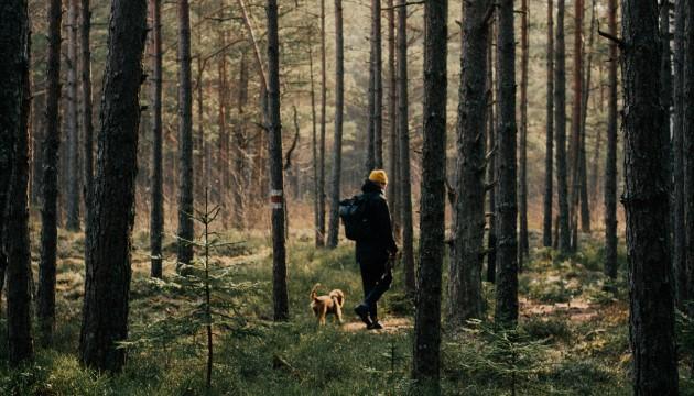 Dog and owner in a forrest PrimaDog