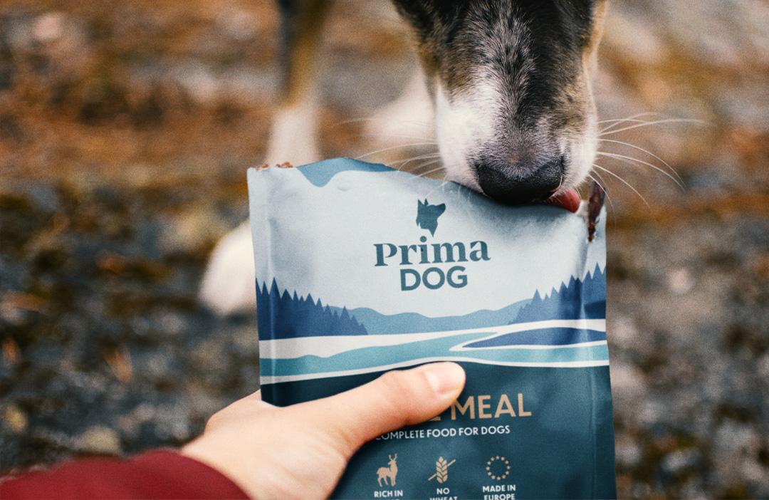 PrimaDog wheat-free wet dog food with beef packing with dog's nose