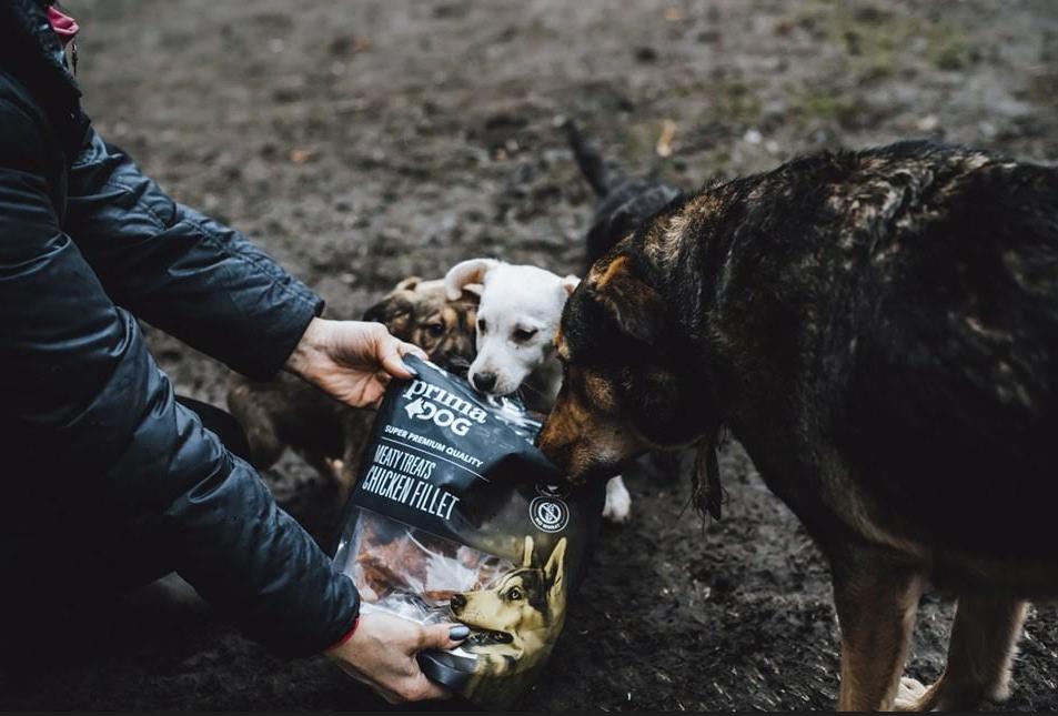 PrimaDog och Pet Rescue Finland Utfodring av hundar